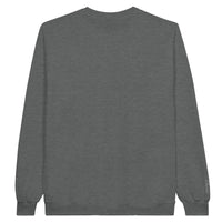 dos du Sweat-shirt Doux Destin Verseau Brodé gris